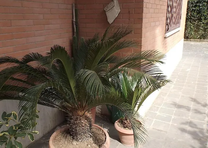 La Casa Di Ro Bed and breakfast *