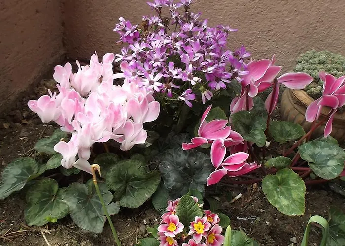 Bed and breakfast La Casa Di Ro Roma
