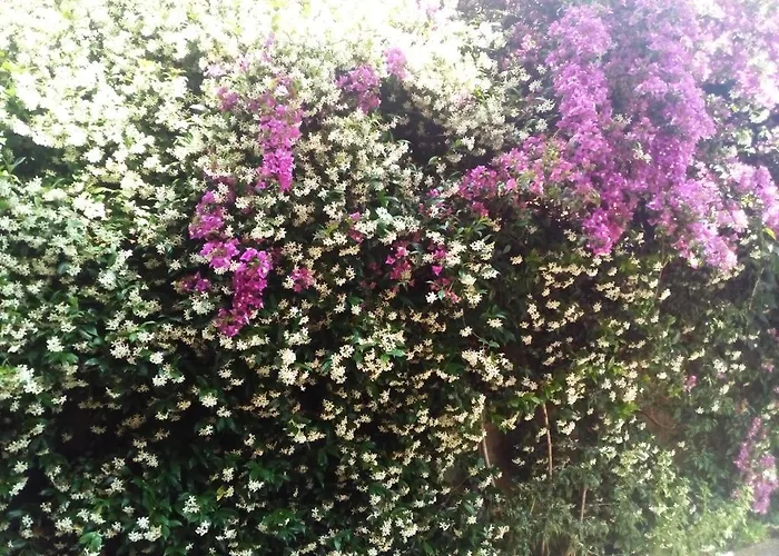 Bed and breakfast La Casa Di Ro *